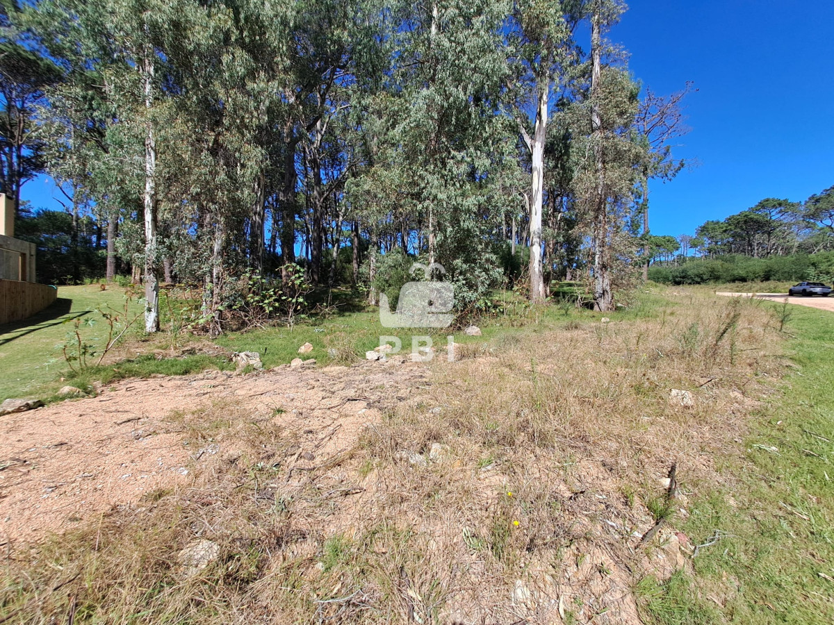 TG90ZSBlbiBWZW50YSBlbiBFeGNsdXNpdm8gQmFycmlvIFByaXZhZG8gZGUgTGEgQmFycmEgLSBSZWYgOiBQQkkxNDcxMA==