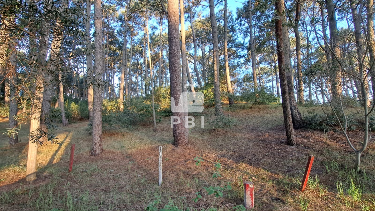 Club del Lago - GoPunta - Portal Inmobiliario de Punta del Este - Maldonado