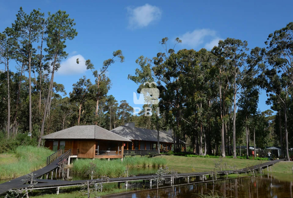 VGVycmVubyBlbiBEZXNpZ24gVmlsbGFnZSwgUHVudGEgQmFsbGVuYSAtIFJlZiA6IFBCSTMxMzI=