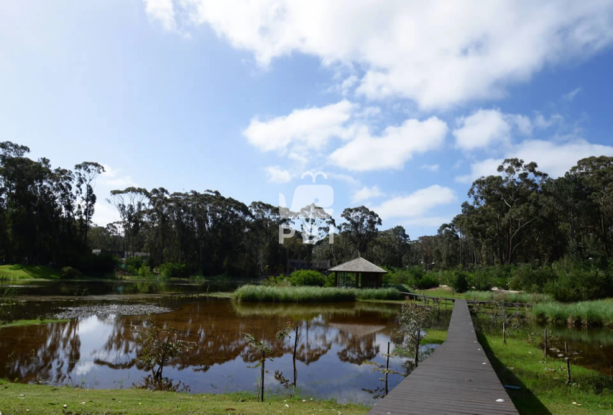 VGVycmVubyBlbiBEZXNpZ24gVmlsbGFnZSwgUHVudGEgQmFsbGVuYSAtIFJlZiA6IFBCSTMxMzI=