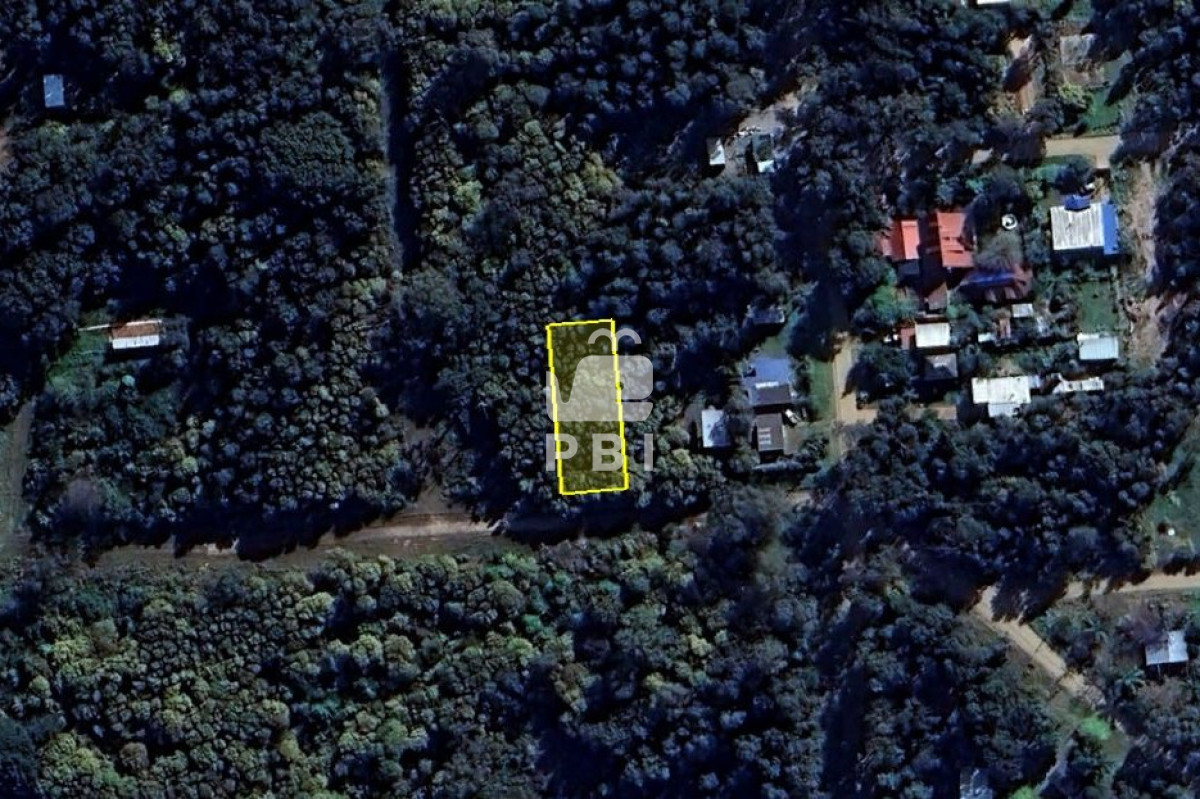 Sauce de Portezuelo - GoPunta - Portal Inmobiliario de Punta del Este - Maldonado