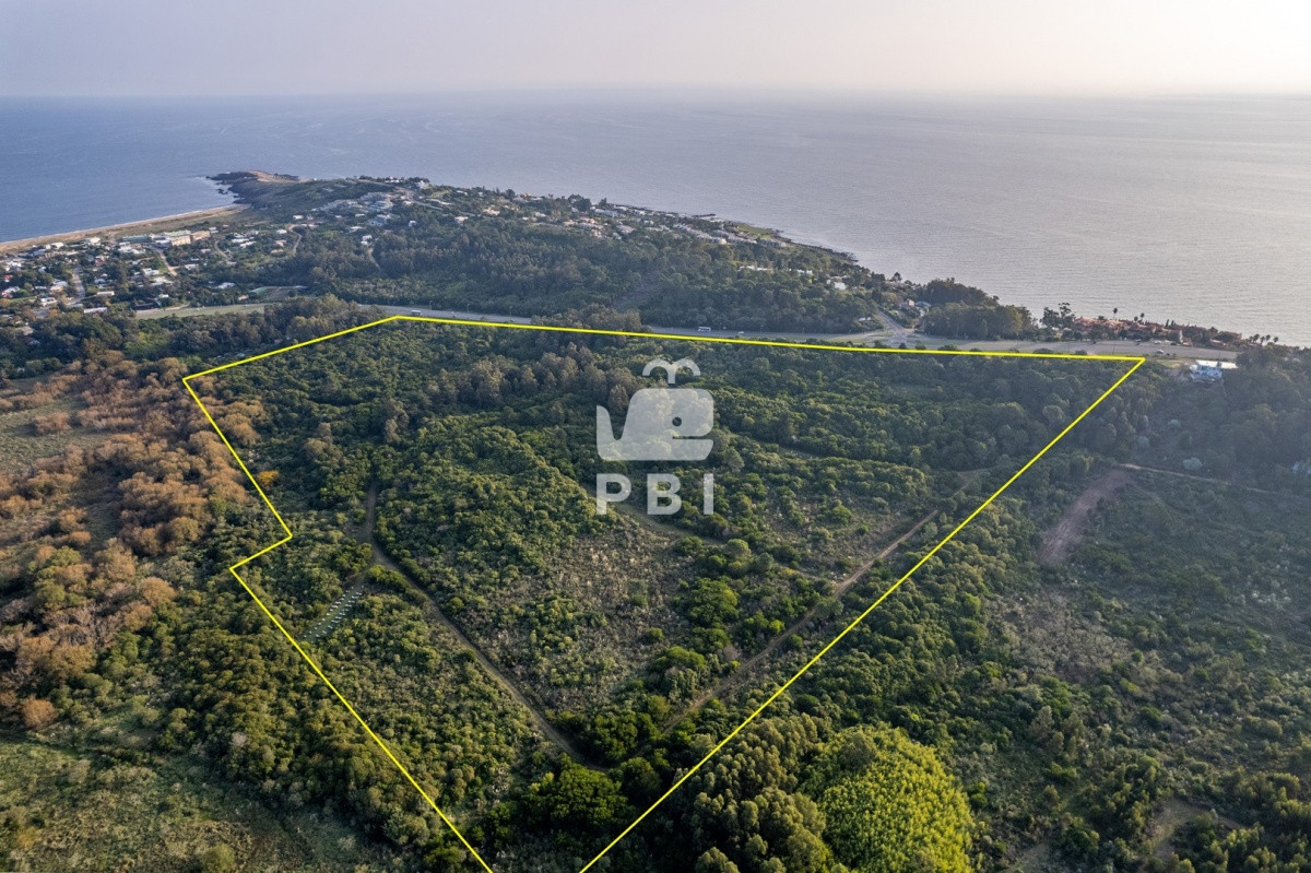 Lomo de la Ballena - GoPunta - Portal Inmobiliario de Punta del Este - Maldonado