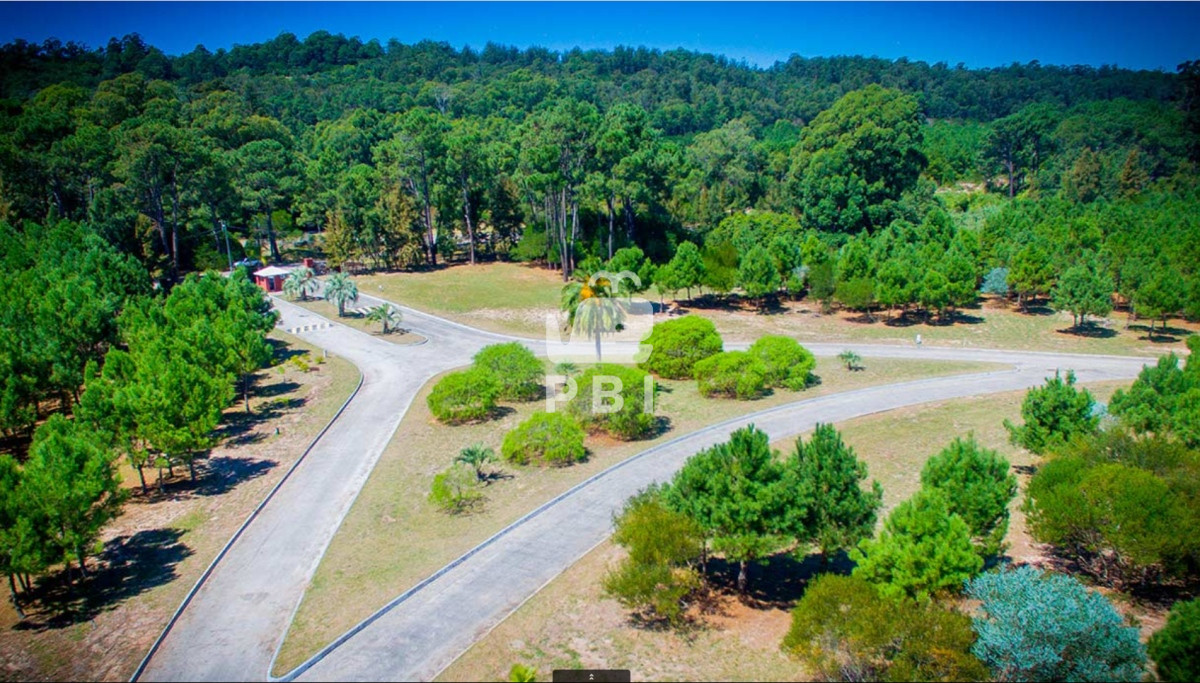 Laguna del Sauce - GoPunta - Portal Inmobiliario de Punta del Este - Maldonado