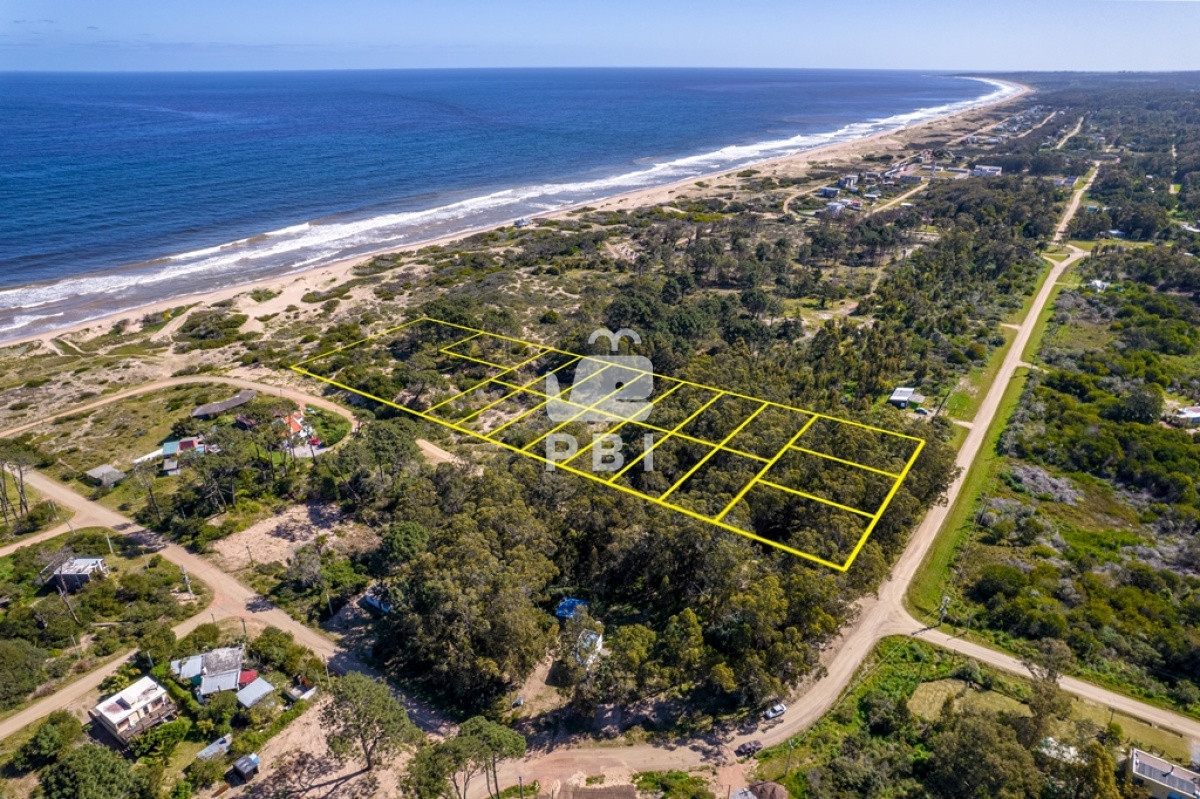 Sauce de Portezuelo - GoPunta - Portal Inmobiliario de Punta del Este - Maldonado