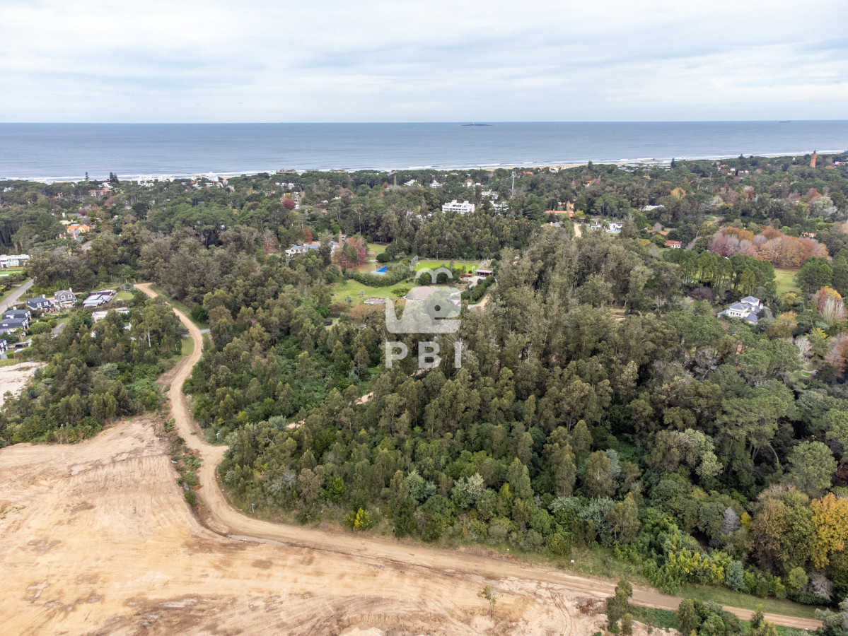 Golf - GoPunta - Portal Inmobiliario de Punta del Este - Maldonado