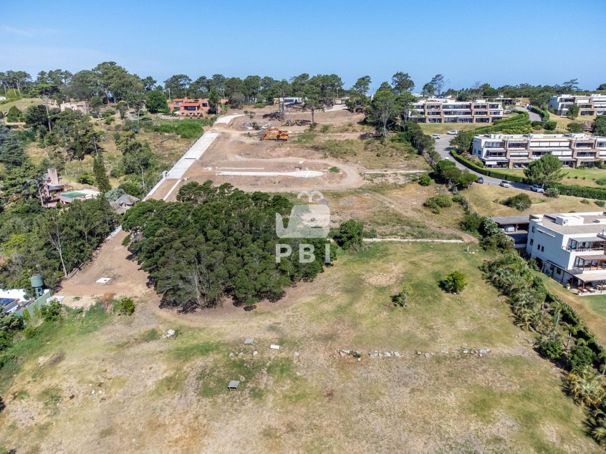 TG90ZSBlbiBMb21vIGRlIGxhIEJhbGxlbmEsIFB1bnRhIEJhbGxlbmEgLSBSZWYgOiBQQkkyOTM2