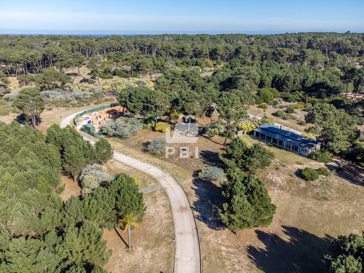 Laguna del Sauce - GoPunta - Portal Inmobiliario de Punta del Este - Maldonado