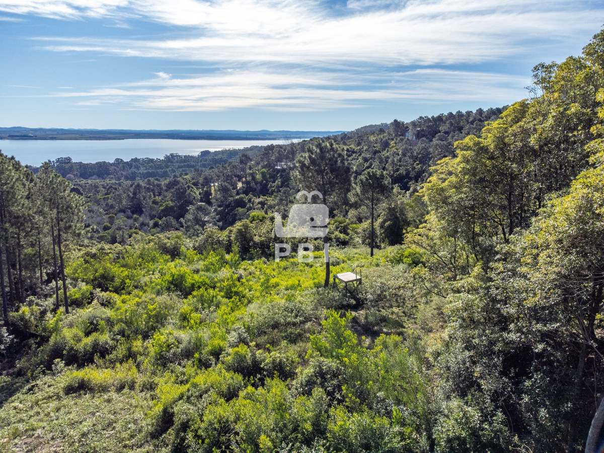 Las Cumbres - GoPunta - Portal Inmobiliario de Punta del Este - Maldonado