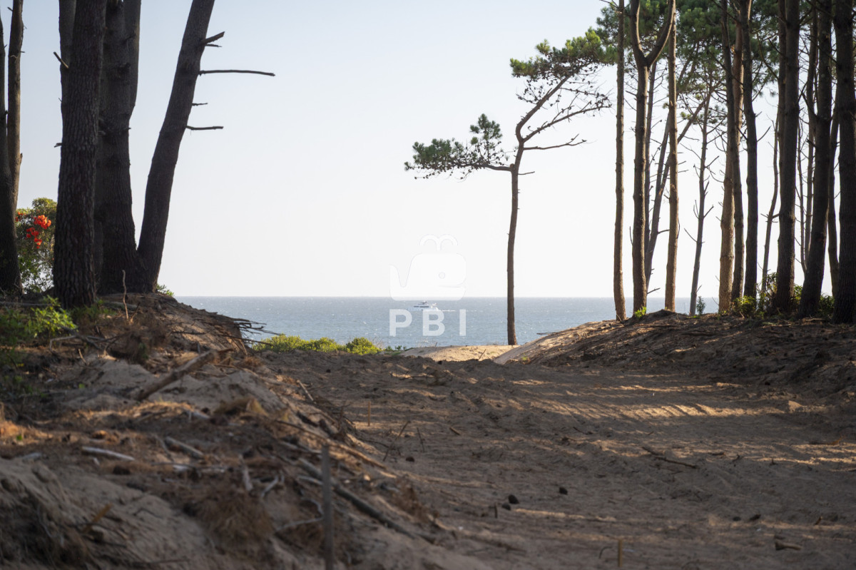 VGVycmVubyBlbiB2ZW50YSBlbiBiYXJyaW8gcHJpdmFkbyBBc3RyYSwgUHVudGEgQmFsbGVuYSAtIFJlZiA6IFBCSTE1NTU2