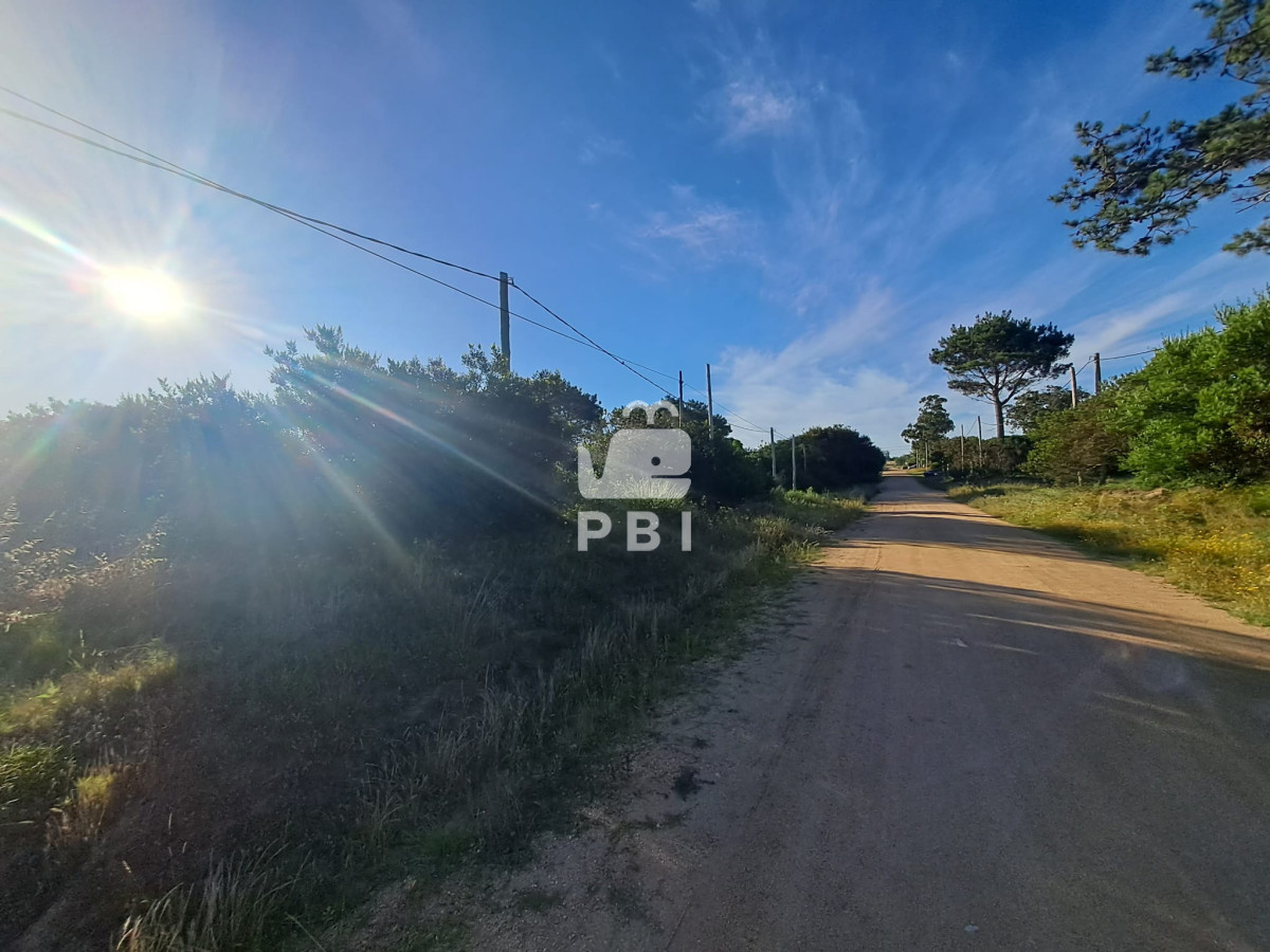 Balneario Buenos Aires - GoPunta - Portal Inmobiliario de Punta del Este - Maldonado