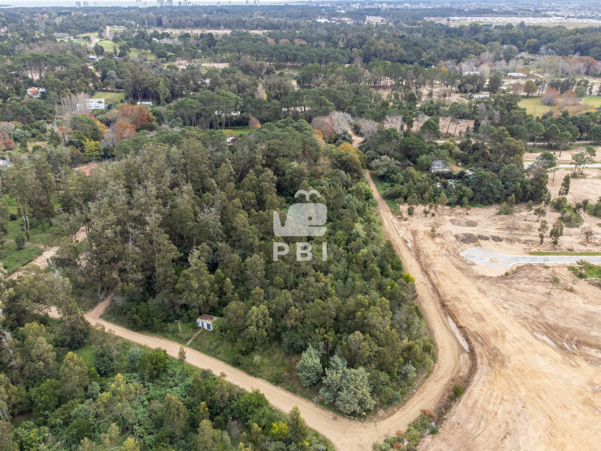 Golf - GoPunta - Portal Inmobiliario de Punta del Este - Maldonado