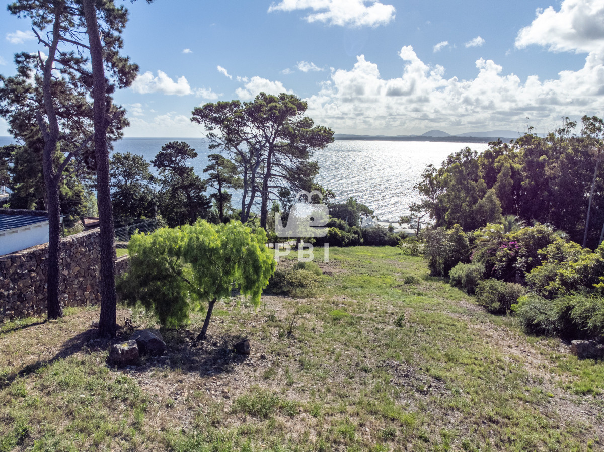 Lomo de la Ballena - GoPunta - Portal Inmobiliario de Punta del Este - Maldonado