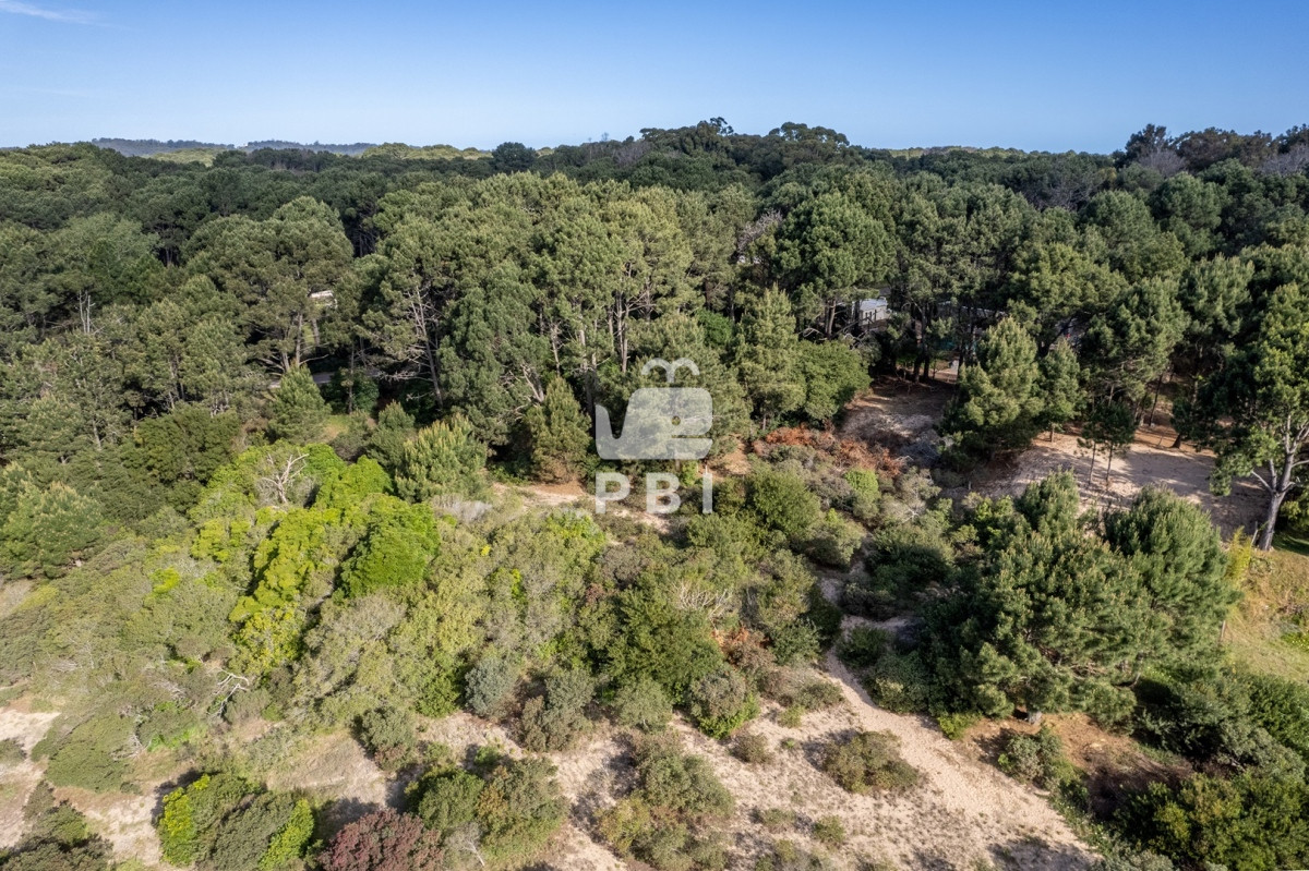 Club del Lago - GoPunta - Portal Inmobiliario de Punta del Este - Maldonado