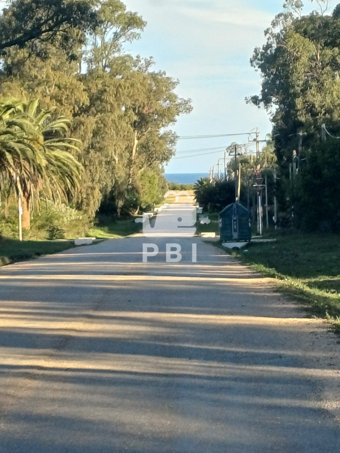 Sauce de Portezuelo - GoPunta - Portal Inmobiliario de Punta del Este - Maldonado