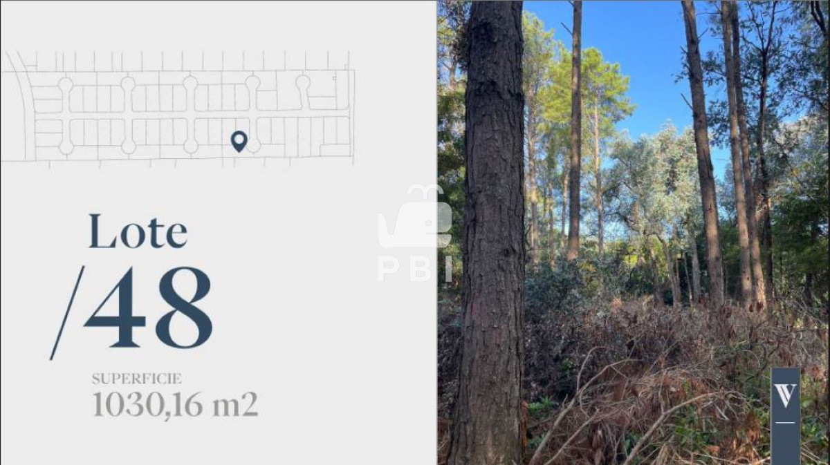 Las Grutas - GoPunta - Portal Inmobiliario de Punta del Este - Maldonado
