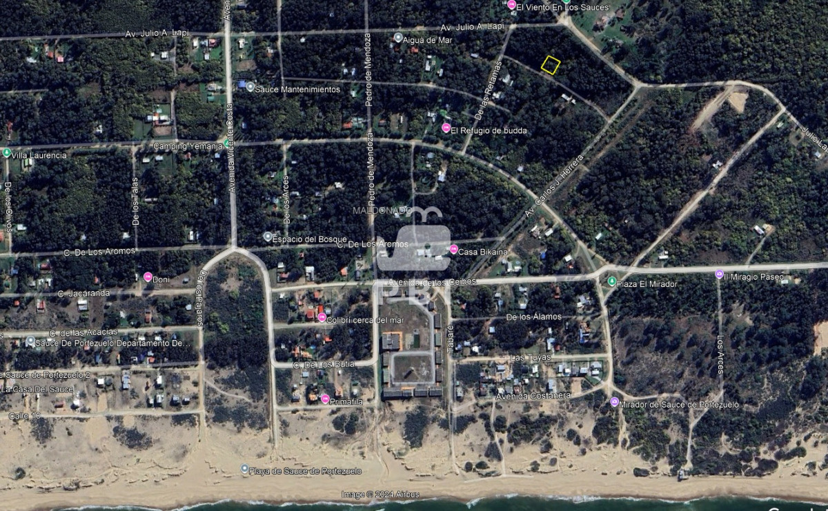 Sauce de Portezuelo - GoPunta - Portal Inmobiliario de Punta del Este - Maldonado