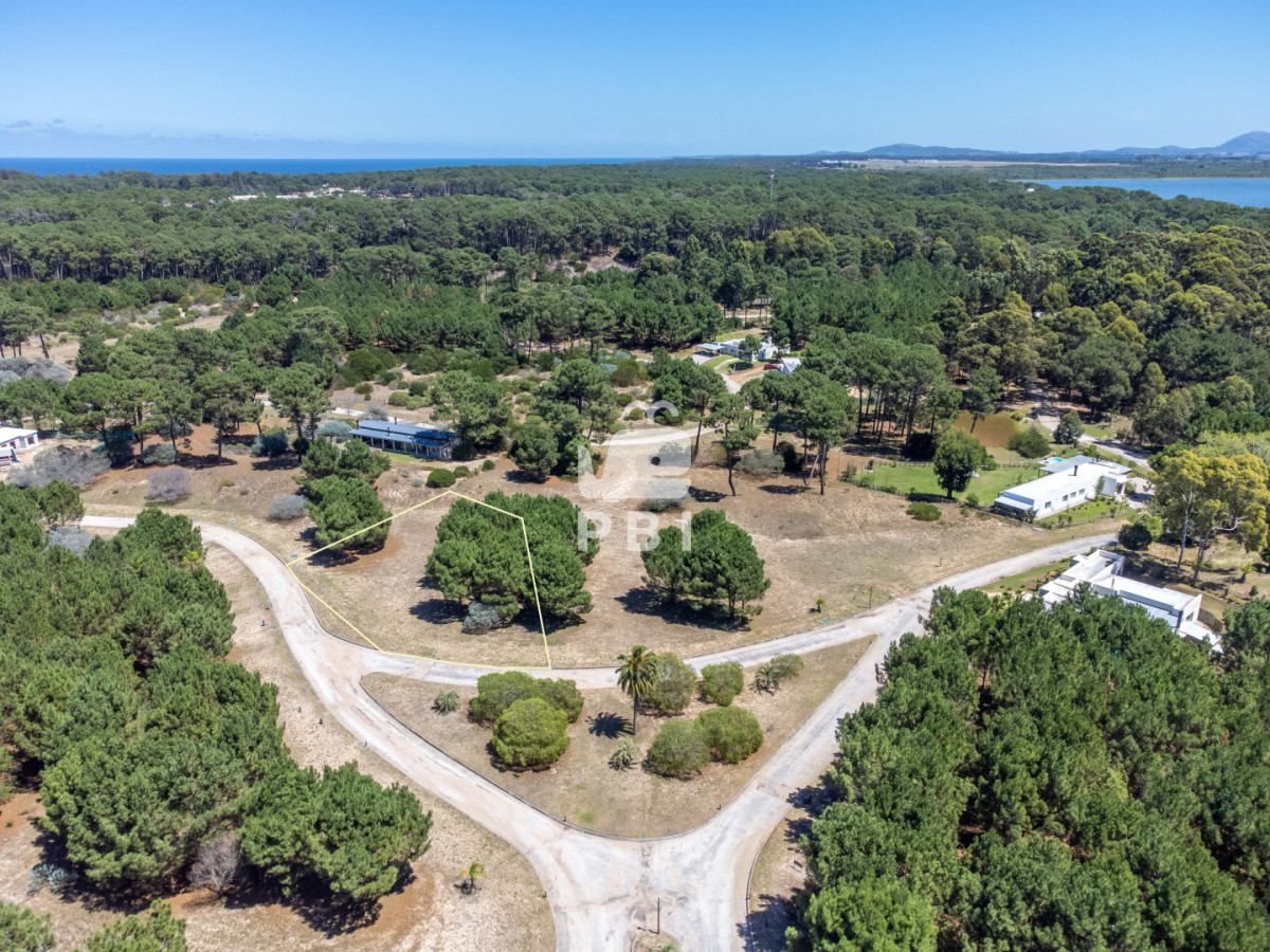 VmVudGEgZGUgTG90ZSBlbiBBY3JlcyBkZSBTb2xhbmEsIFB1bnRhIEJhbGxlbmEgLSBSZWYgOiBQQkkyMzk5