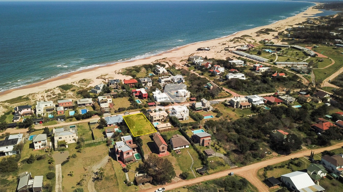 Tio Tom - GoPunta - Portal Inmobiliario de Punta del Este - Maldonado