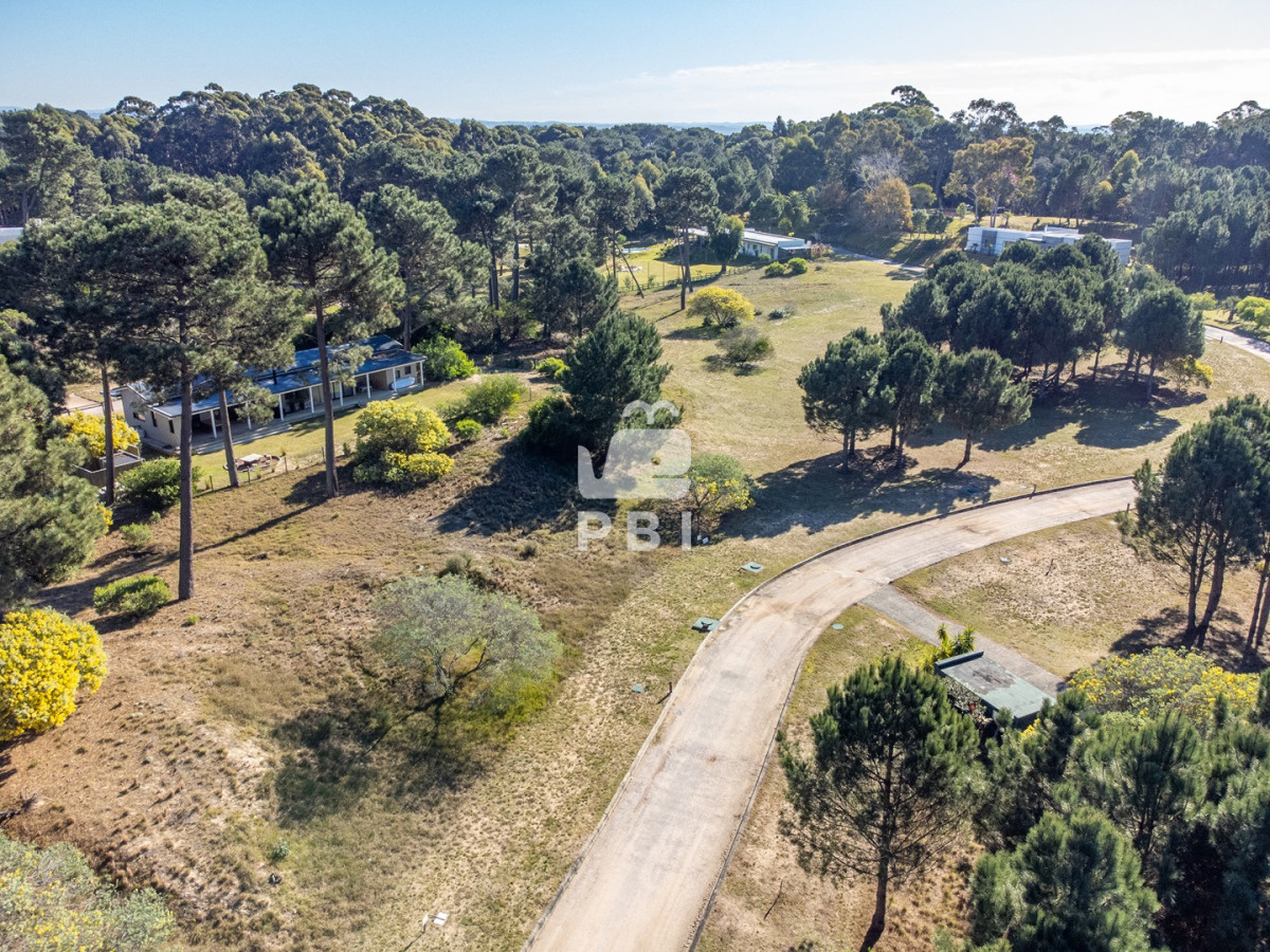Laguna del Sauce - GoPunta - Portal Inmobiliario de Punta del Este - Maldonado