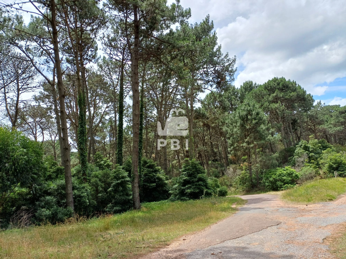 Club del Lago - GoPunta - Portal Inmobiliario de Punta del Este - Maldonado