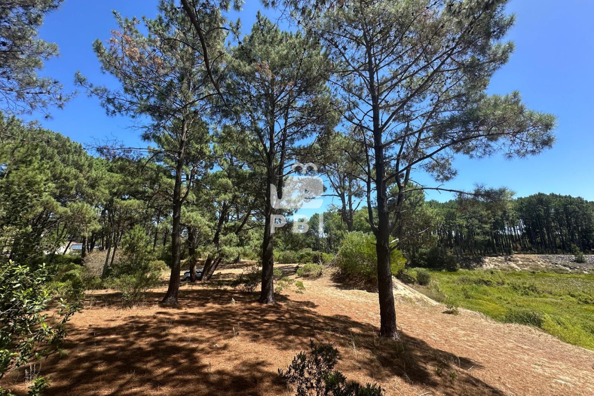 VGVycmVubyBlbiB2ZW50YSBlbiBDbHViIGRlbCBMYWdvLCBQdW50YSBCYWxsZW5hLiAtIFJlZiA6IFBCSTE1NjY3