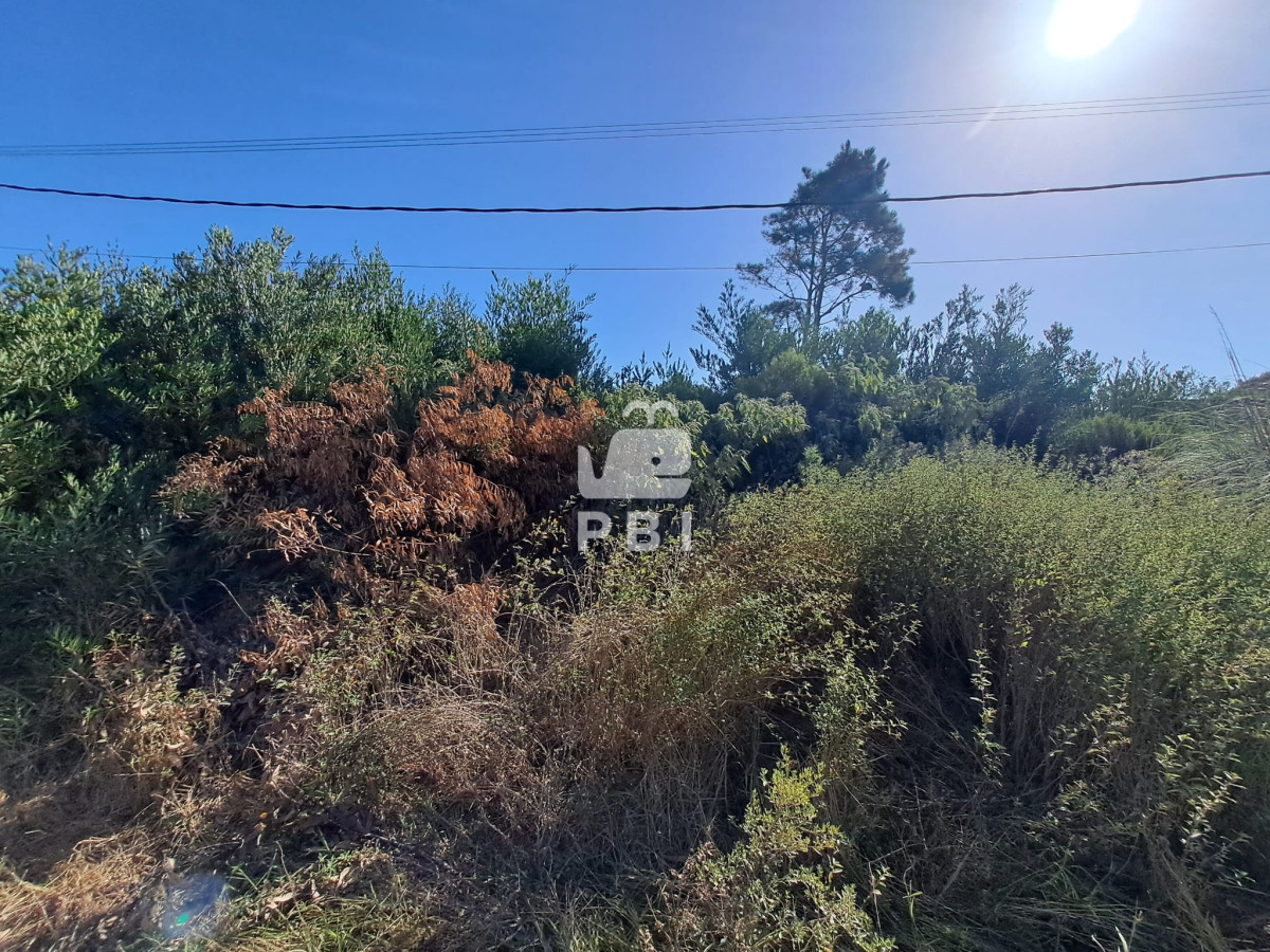 Balneario Buenos Aires - GoPunta - Portal Inmobiliario de Punta del Este - Maldonado