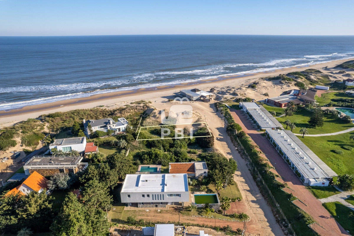 Tio Tom - GoPunta - Portal Inmobiliario de Punta del Este - Maldonado