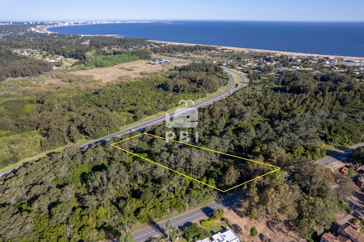 Lomo de la Ballena - GoPunta - Portal Inmobiliario de Punta del Este - Maldonado
