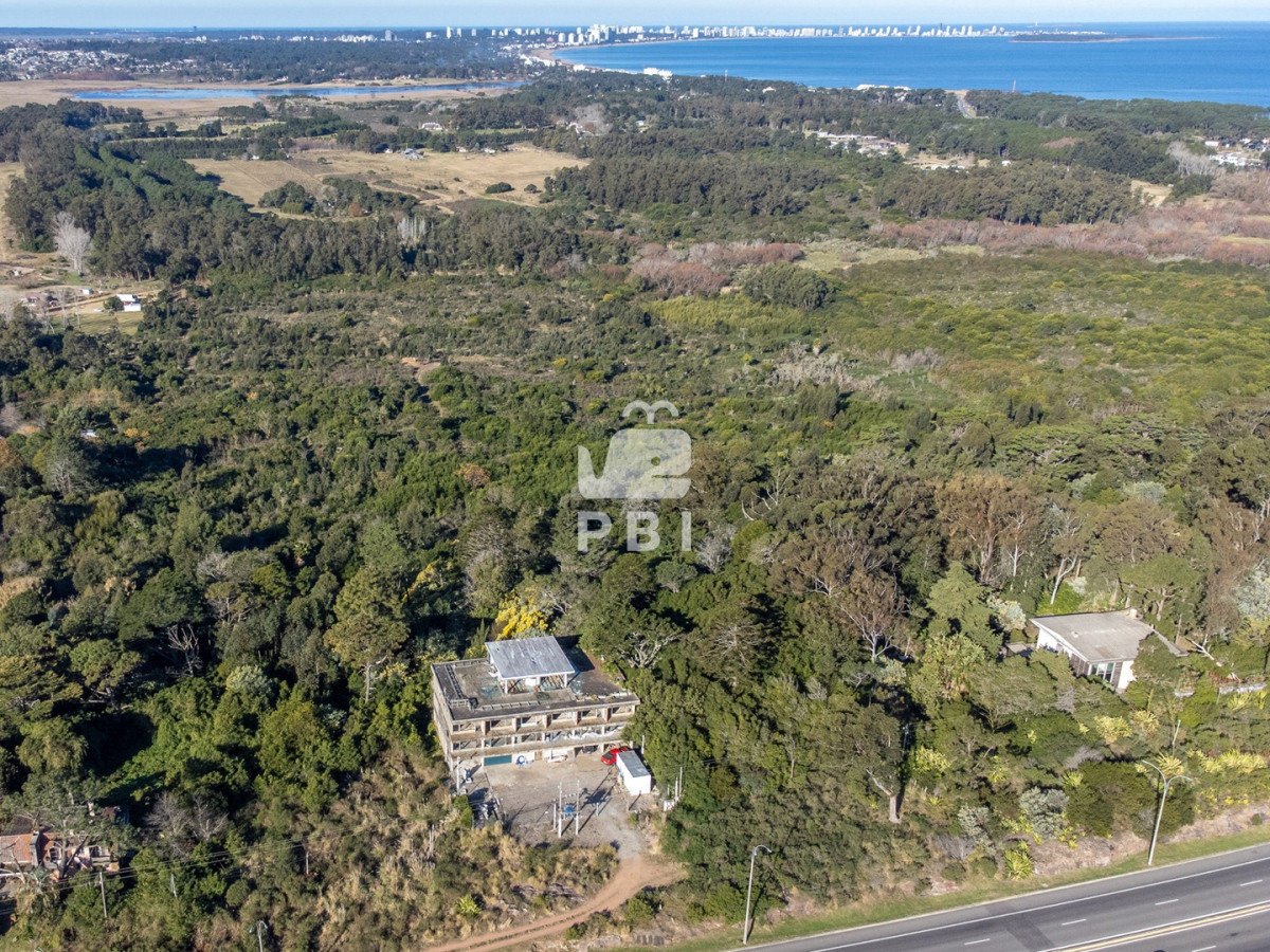 Lomo de la Ballena - GoPunta - Portal Inmobiliario de Punta del Este - Maldonado
