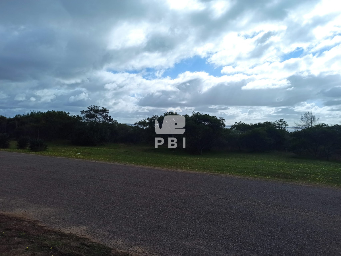 Laguna del Sauce - GoPunta - Portal Inmobiliario de Punta del Este - Maldonado
