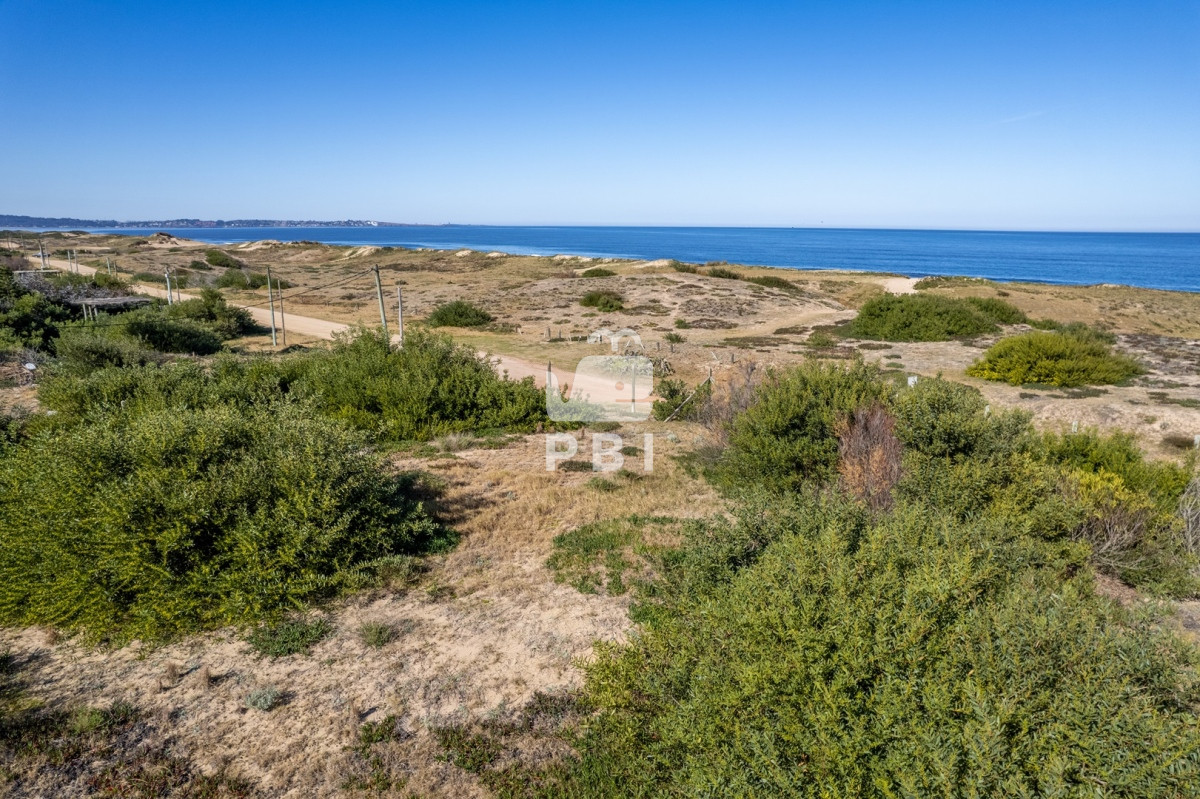 Ocean Park - GoPunta - Portal Inmobiliario de Punta del Este - Maldonado