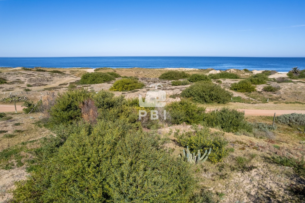 Ocean Park - GoPunta - Portal Inmobiliario de Punta del Este - Maldonado
