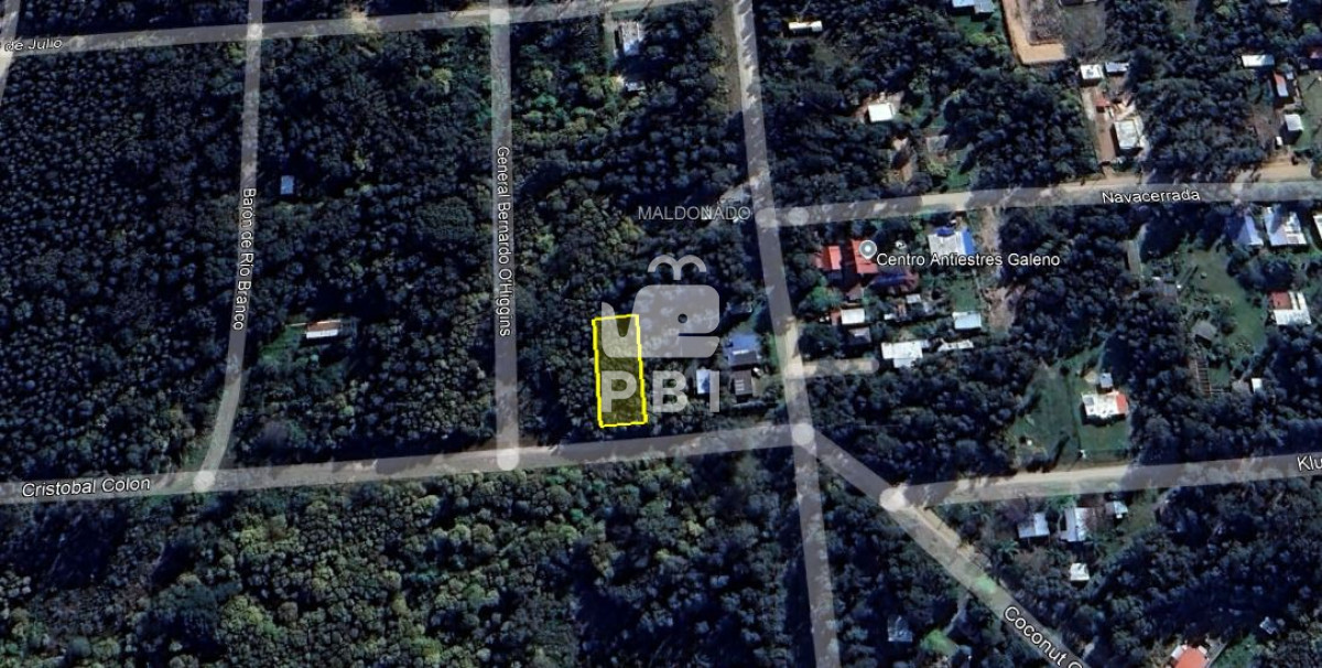 Sauce de Portezuelo - GoPunta - Portal Inmobiliario de Punta del Este - Maldonado