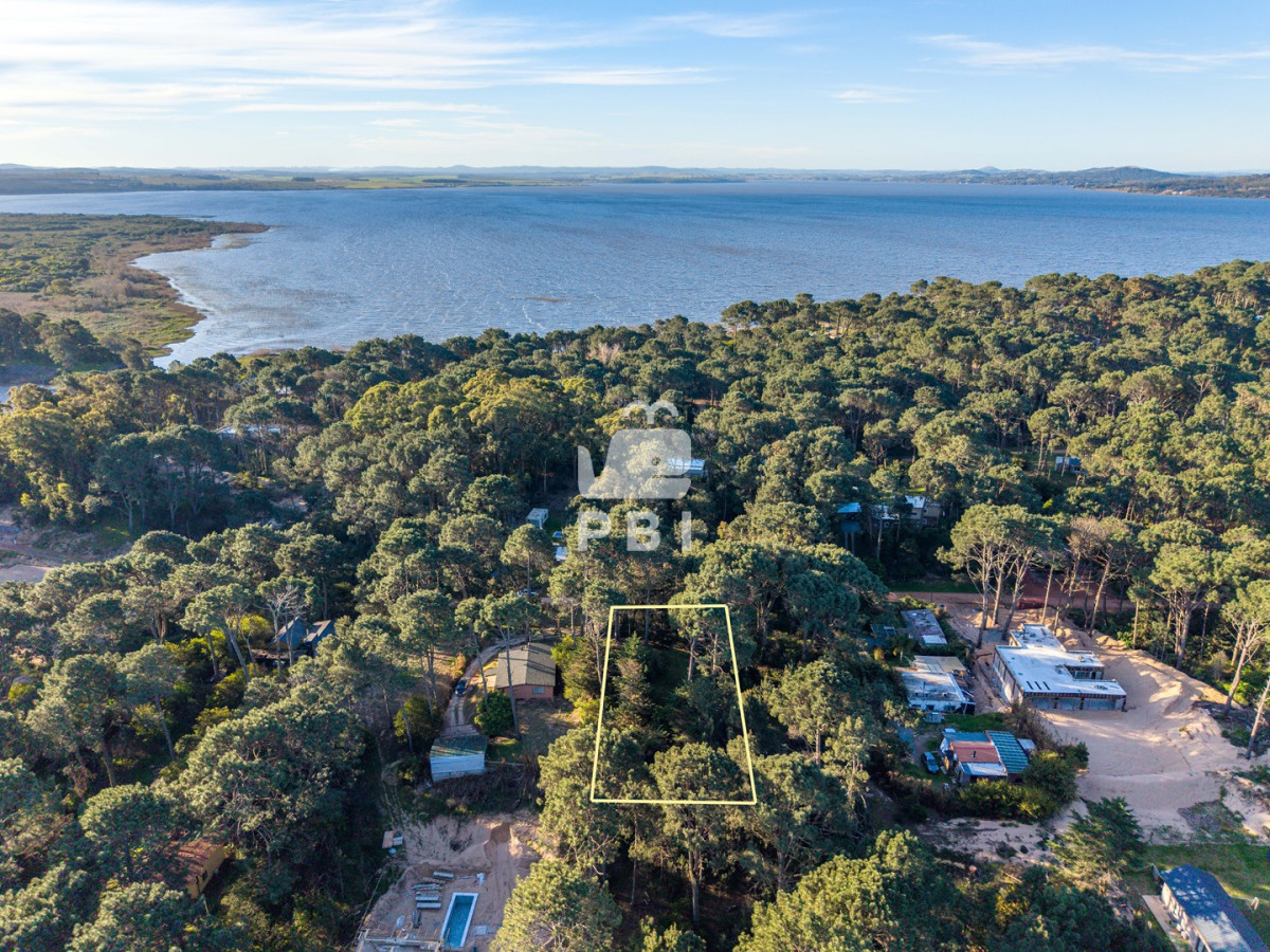 Departamentos y Casas en Punta del Este, Alquileres