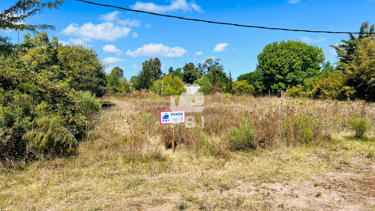 VGVycmVubyBlbiB2ZW50YSBlbiBMYXMgRmxvcmVzLCBQaXJpw6Fwb2xpcyAgLSBSZWYgOiBQQkkxNTY3Nw==