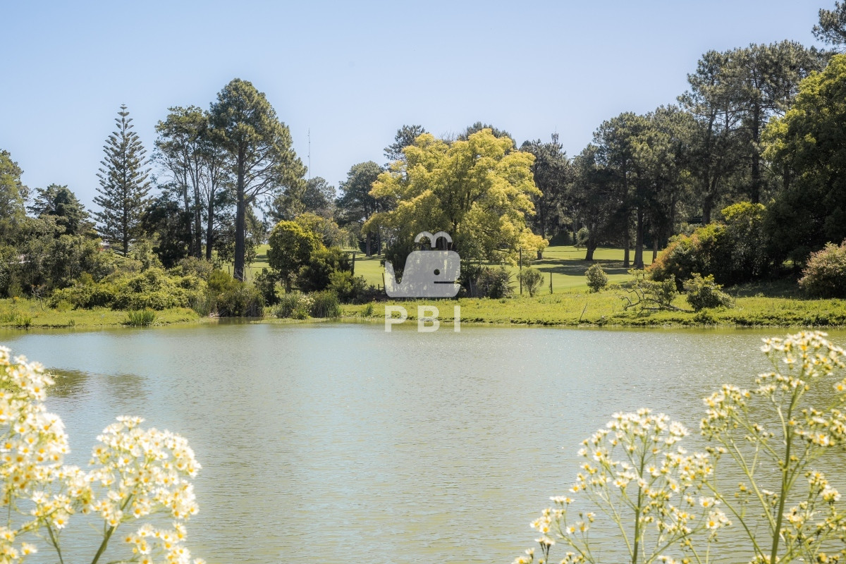 QmFycmlvIEVsIEdvbGYgUHVudGEgRGVsIGVzdGUgLSBSZWYgOiBQQkkxMzIxNQ==