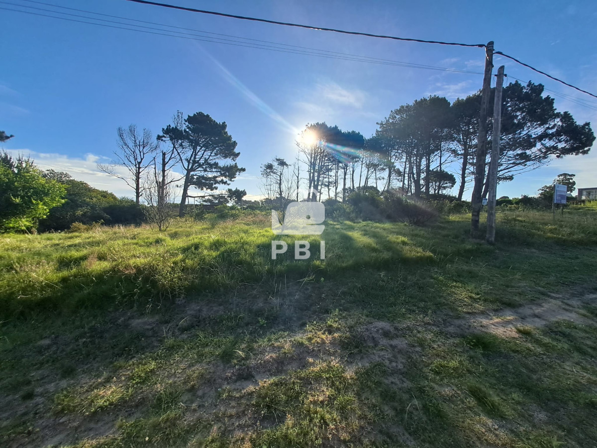 Balneario Buenos Aires - GoPunta - Portal Inmobiliario de Punta del Este - Maldonado