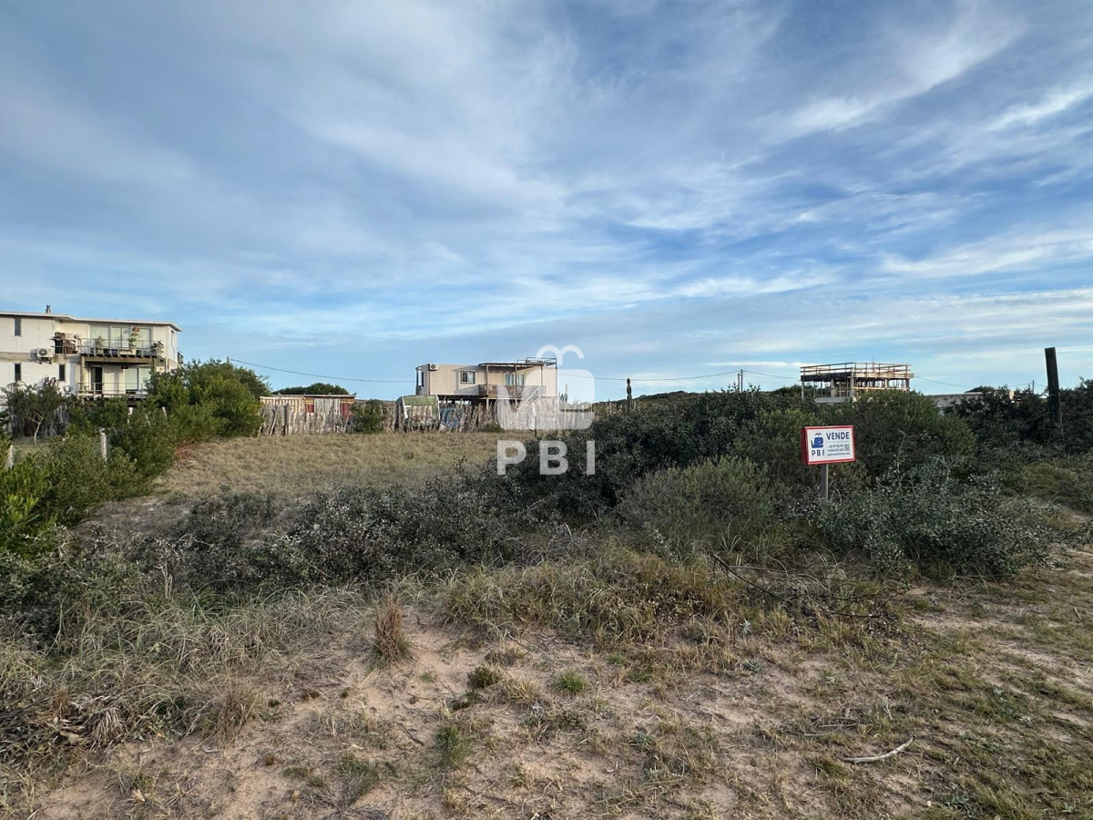 Sauce de Portezuelo - GoPunta - Portal Inmobiliario de Punta del Este - Maldonado