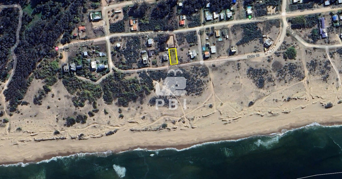 Sauce de Portezuelo - GoPunta - Portal Inmobiliario de Punta del Este - Maldonado