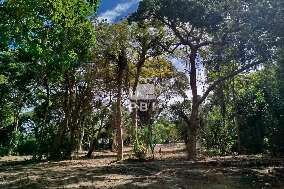 dGVycmVubyBlbiB2ZW50YSAsIExhcyBHcnV0YXMgLSBSZWYgOiBQQkkxNDIxOA==