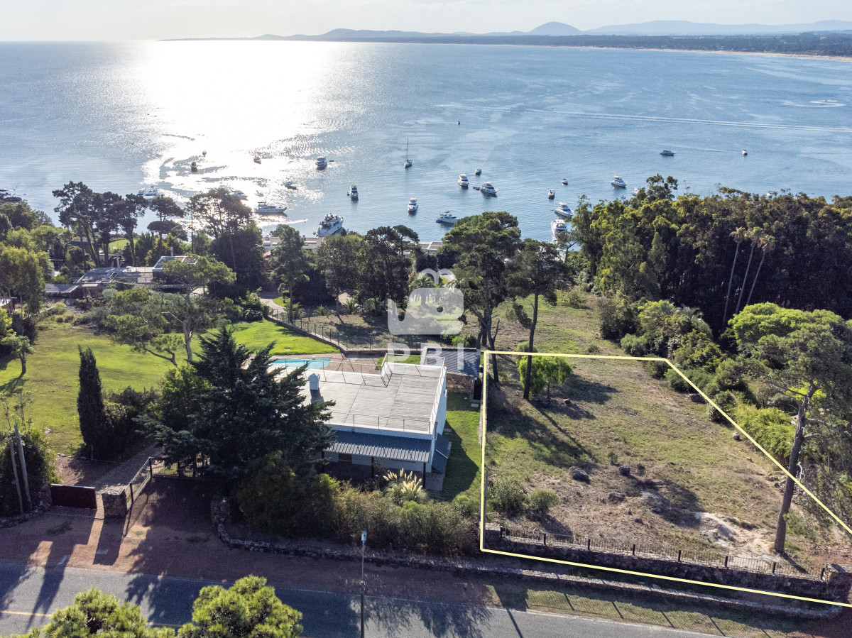 Lomo de la Ballena - GoPunta - Portal Inmobiliario de Punta del Este - Maldonado
