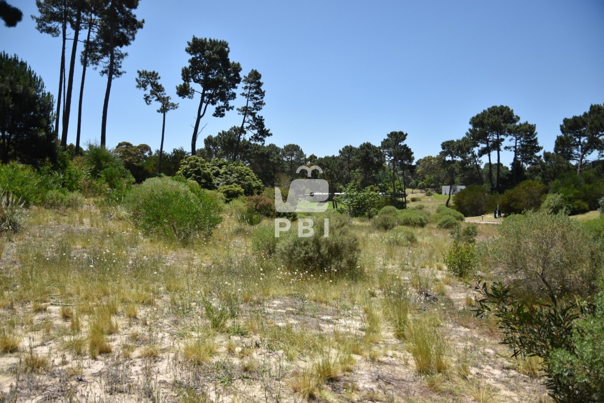 Laguna del Sauce - GoPunta - Portal Inmobiliario de Punta del Este - Maldonado