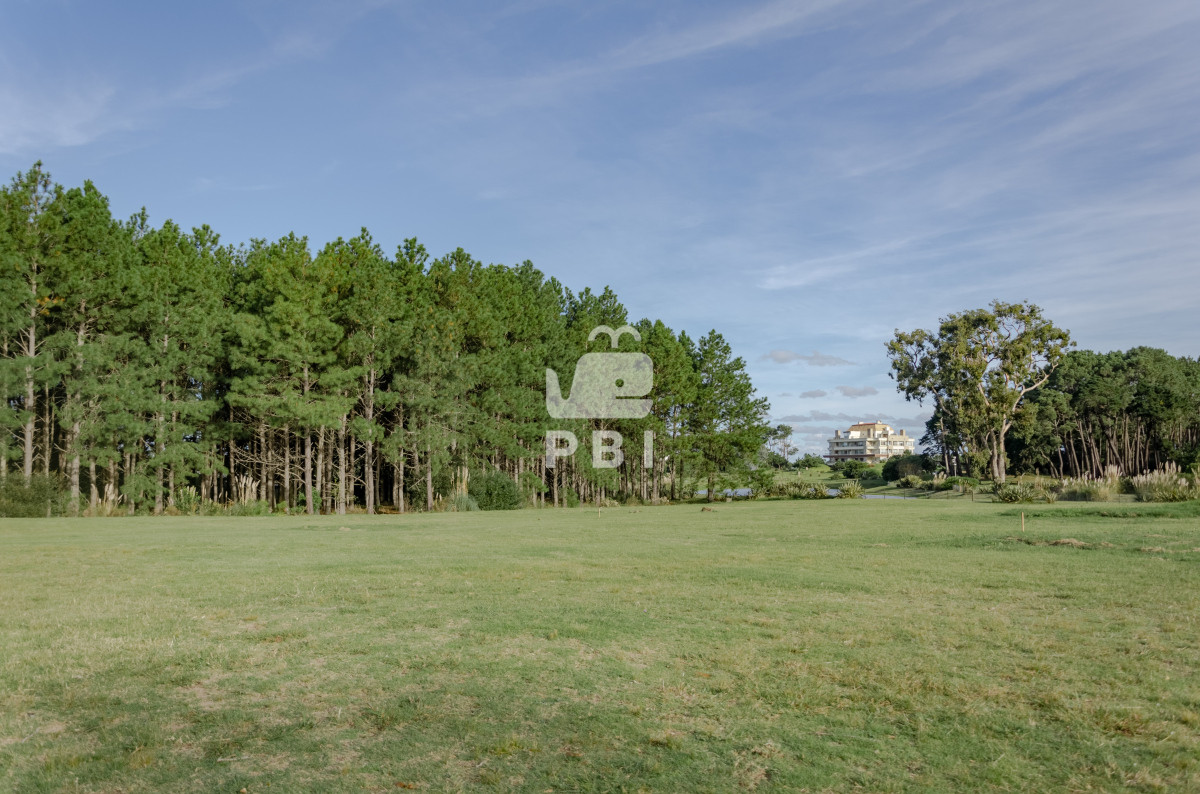 Piedras del Chileno - GoPunta - Portal Inmobiliario de Punta del Este - Maldonado