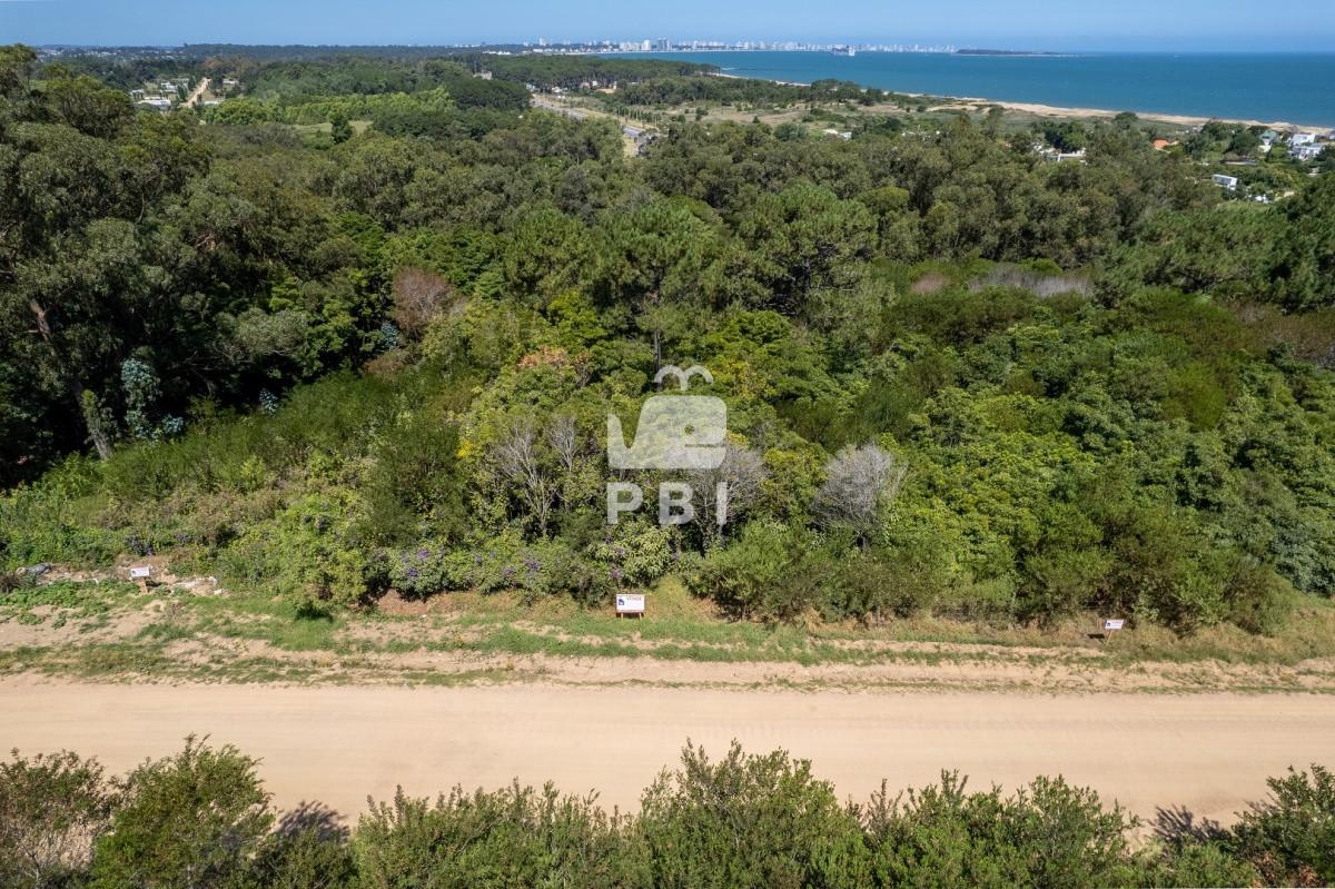 Las Grutas - GoPunta - Portal Inmobiliario de Punta del Este - Maldonado