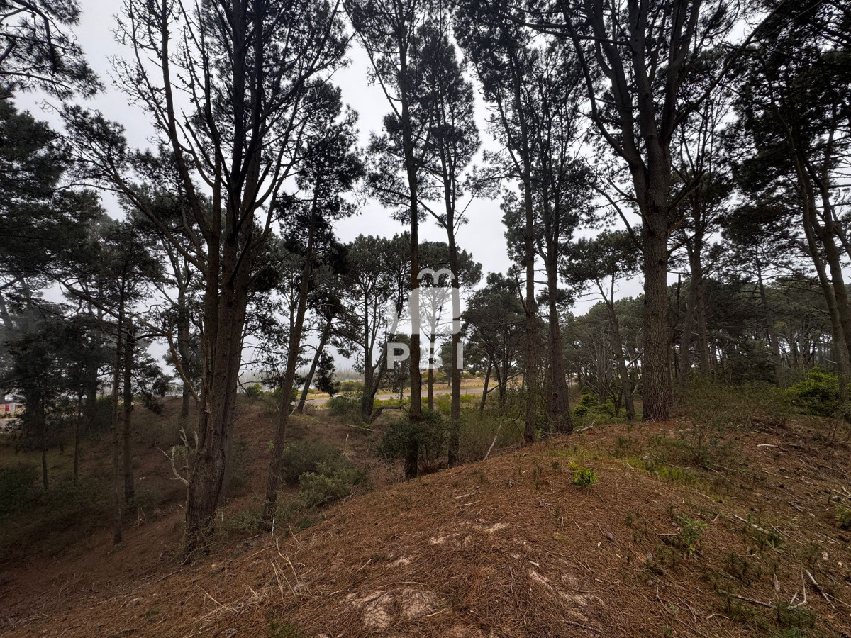 VGVycmVubyBmcmVudGUgYSBsYSBsYWd1bmEgZW4gQ2x1YiBkZWwgTGFnbywgUHVudGEgQmFsbGVuYSAtIFJlZiA6IFBCSTI5Njc=