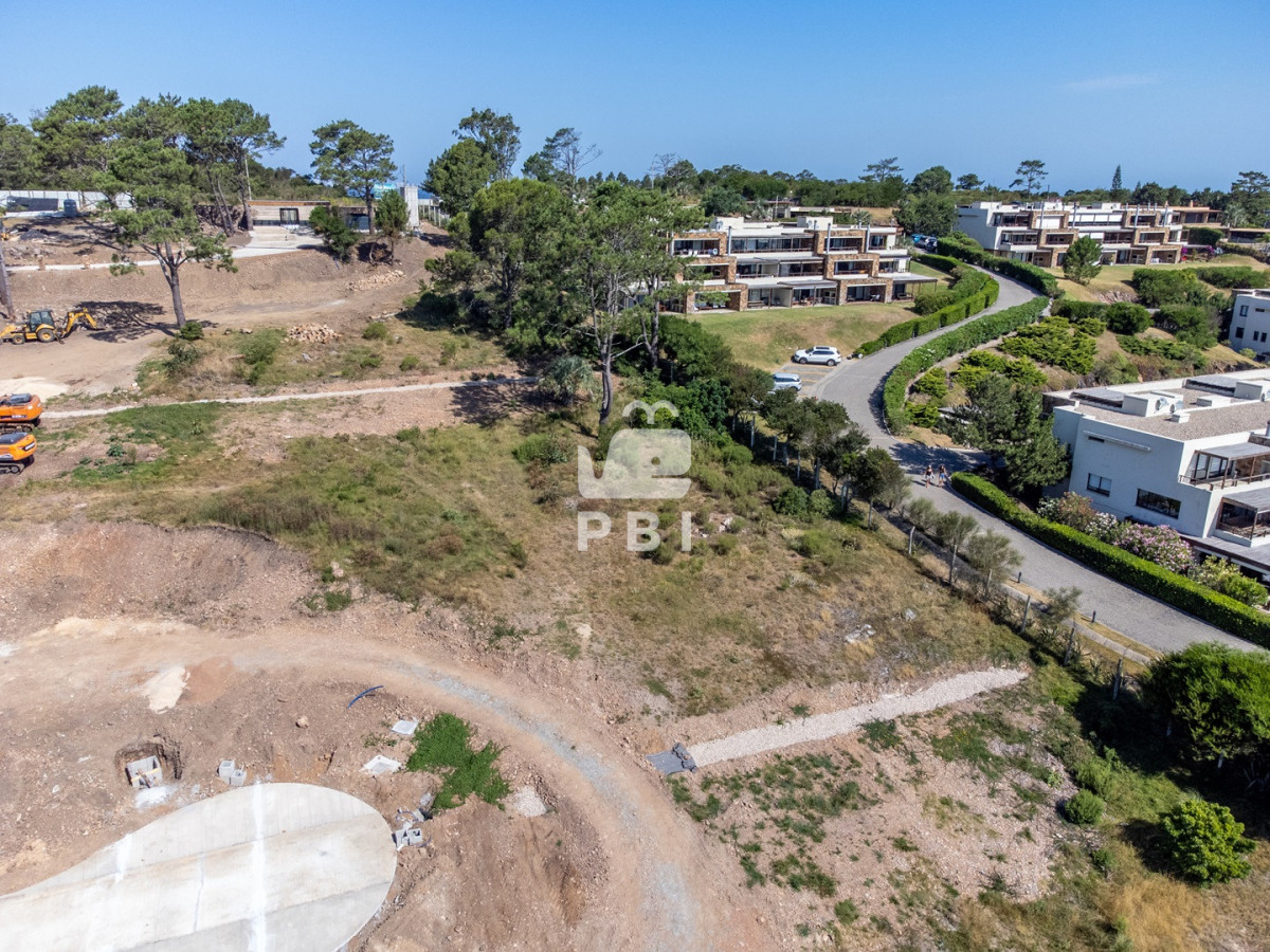 TG90ZSBlbiBMb21vIGRlIGxhIEJhbGxlbmEsIFB1bnRhIEJhbGxlbmEgLSBSZWYgOiBQQkkyOTM3