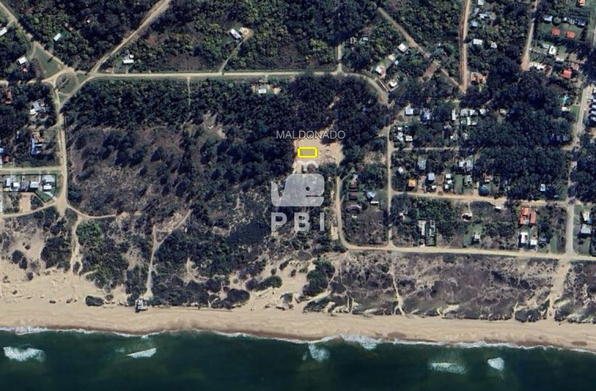 Sauce de Portezuelo - GoPunta - Portal Inmobiliario de Punta del Este - Maldonado