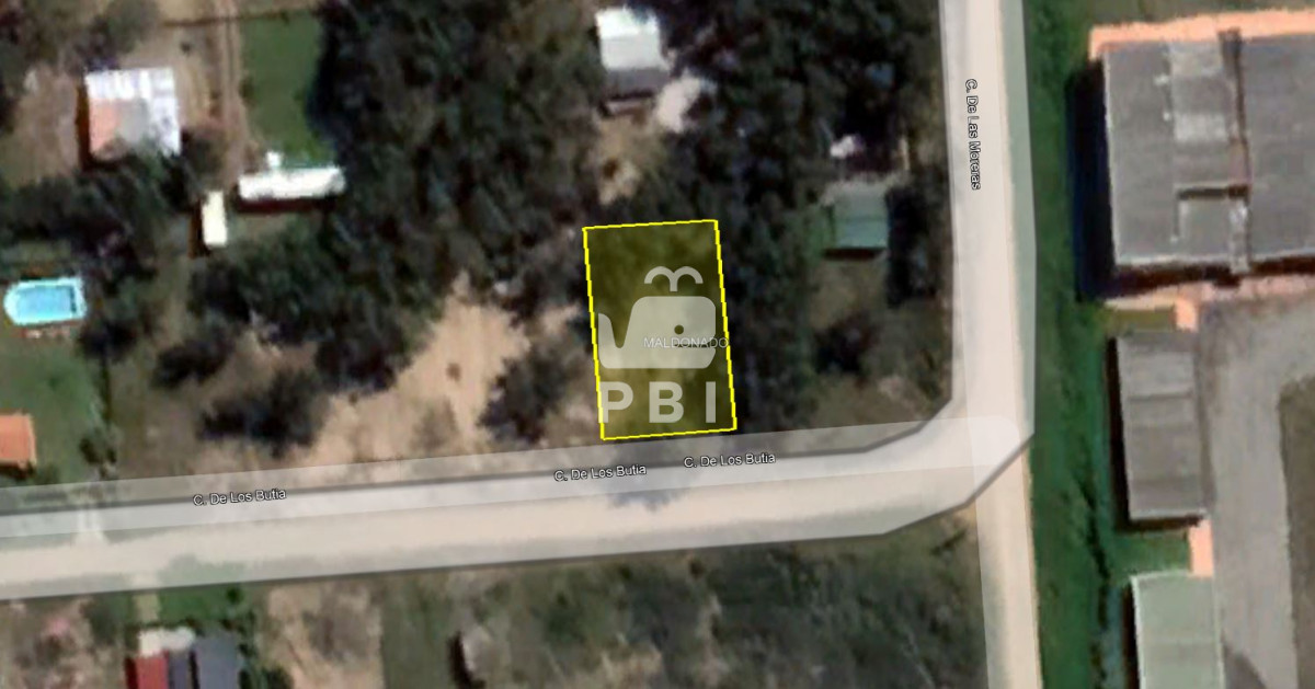 Sauce de Portezuelo - GoPunta - Portal Inmobiliario de Punta del Este - Maldonado