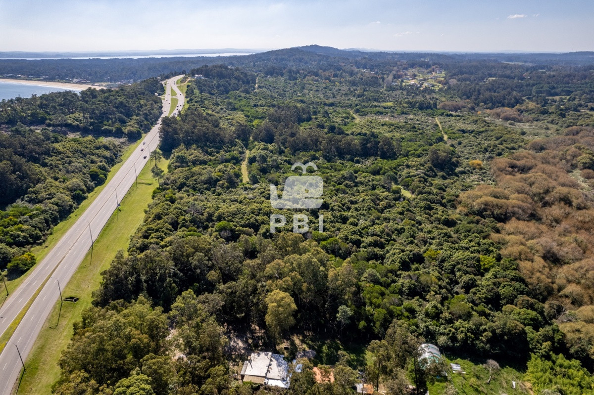 Lomo de la Ballena - GoPunta - Portal Inmobiliario de Punta del Este - Maldonado