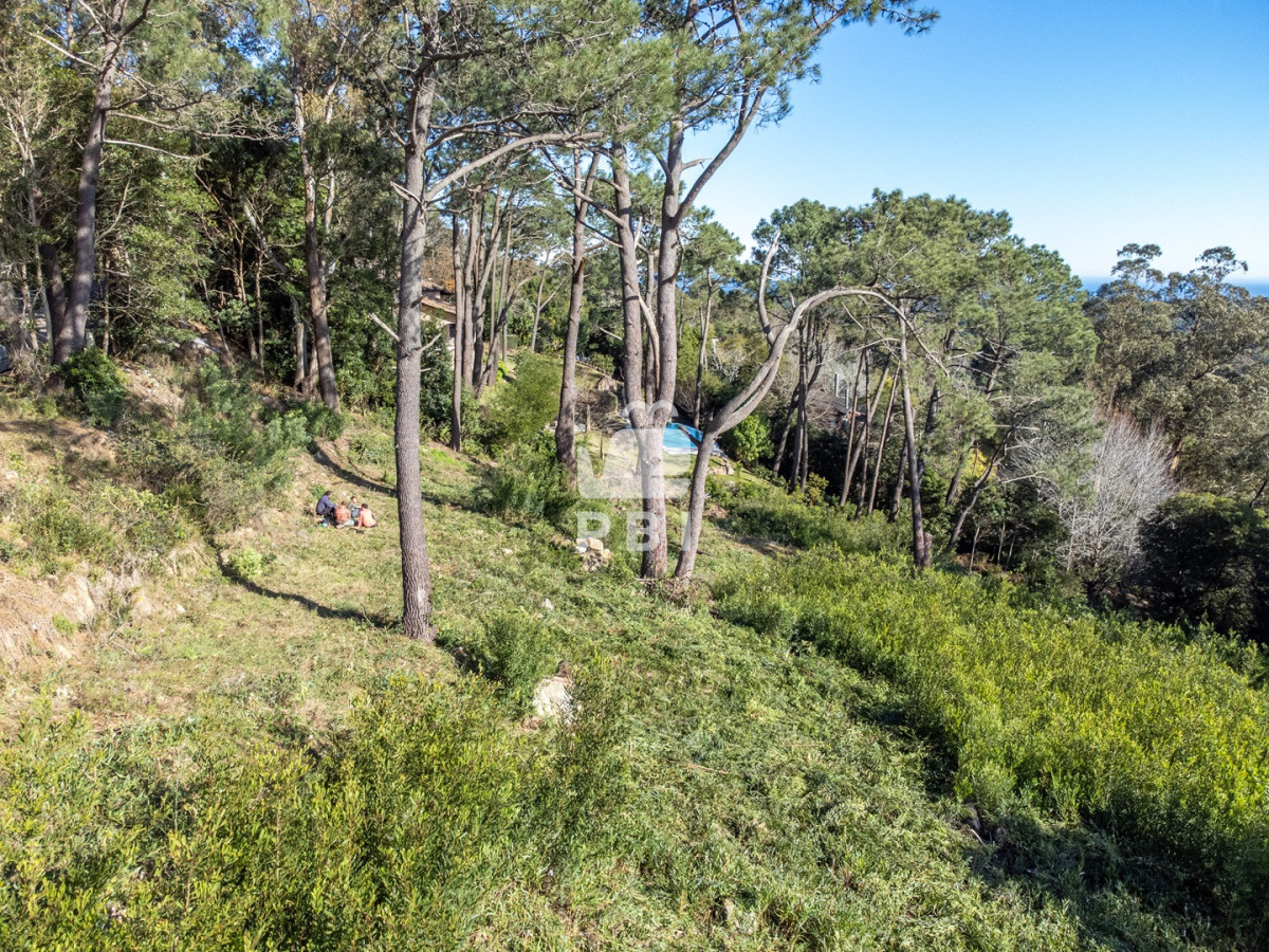 Las Cumbres - GoPunta - Portal Inmobiliario de Punta del Este - Maldonado